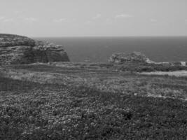 le île de gozo photo