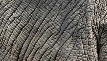 l'éléphant peau sans couture texture photo