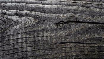 le macro photo de noir bois surface avec bois texture