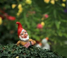 jardin nain ou gnome photo