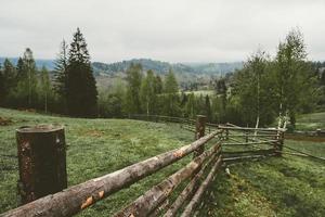 paysage de montagne avec sapins et clôtures en bois