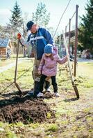 père enseignement le sien fille Comment à plante une Nouveau arbre dans printemps photo