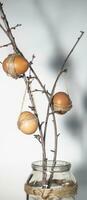 Pâques des œufs pendaison sur branches dans verre pot photo