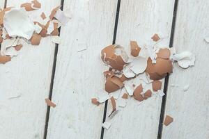 Oeuf coquilles sur bois photo