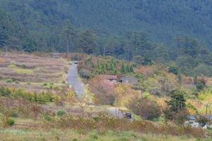 paysage d'automne dans la ferme de wuling photo