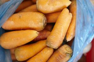 tas de Frais biologique carottes photo