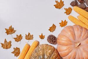 automnal Contexte avec récolte tomber des légumes et automnal feuilles photo