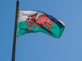 drapeau gallois du pays de Galles sur ciel bleu photo