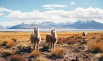 groupe de lamas la grâce le vaste bolivien désert, avec loin montagnes comme toile de fond. établi avec génératif ai outils photo