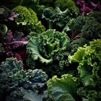 réaliste photo de une bouquet de chou frisé. Haut vue des légumes paysage. ai généré