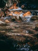 magnifique Montagne ruisseau - clair l'eau photo