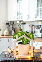 dieffenbachia dans une pot dans le intérieur de le maison dans le cuisine, illuminé par guirlande les lampes et miniature de maison projet avec clés. mis en pot plante dans vert loger, réel biens de location, Assurance photo