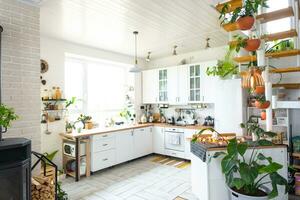 le général plan de une lumière blanc moderne rustique cuisine avec une modulaire métal escalier décoré avec mis en pot les plantes. intérieur de une maison avec plantes d'intérieur photo