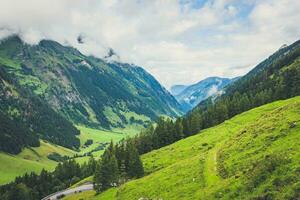 vert forêt et herbe couvrant autrichien Alpes avec petit Matin Soleil des rayons photo