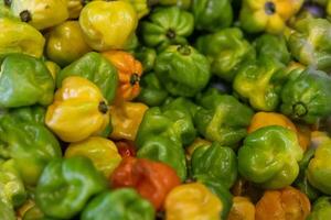 variété de piments Habaneros photo