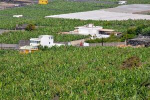 une vue de une ferme avec une maison dans le milieu photo