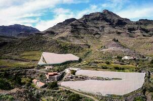 le montagnes sont couvert dans vert les plantes et des arbres photo