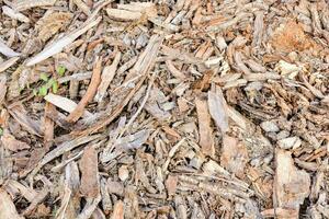 une proche en haut de une pile de bois frites photo