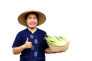 asiatique femme agriculteur tenir panier de Frais biologique maïs. thaïlandais local race. préféré pour thaïlandais nord Les agriculteurs grandir pour bouillir, vapeur ou cuisinier pour thaïlandais traditionnel dessert. concept, agricole surgir produit photo