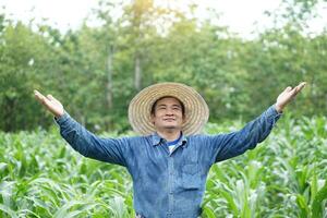 content asiatique homme agriculteur est à jardin, porter chapeau, bleu chemise, élever main geste en haut à présent produit pour publicité à paddy champ. concept , agriculture profession. content agriculteur photo