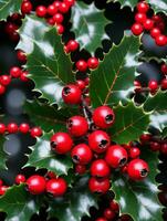 photo de Noël houx branches avec rouge baies. ai généré