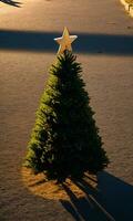 une Noël arbre moulage longue ombres dans le soir lumière. ai généré photo