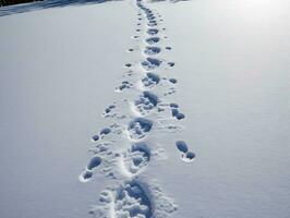 une Piste de empreintes dans le neige. ai généré photo