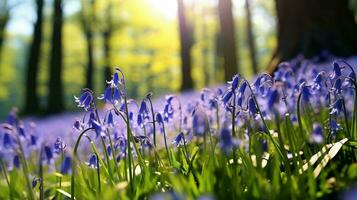 une vibrant champ de bleu fleurs suivant à une serein forêt ai généré photo
