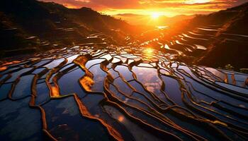 une magnifique le coucher du soleil plus de une serein riz champ ai généré photo