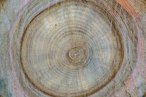 belle fracture en bois vieux chêne, texture naturelle en gros plan photo