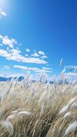 une scénique champ de grand herbe en dessous de une clair bleu ciel ai généré photo