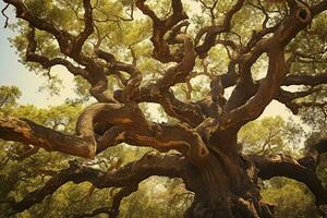 une majestueux et tentaculaire arbre avec abondant branches atteindre vers le ciel ai généré photo