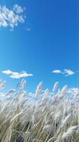 une serein champ de grand herbe en dessous de une clair bleu ciel ai généré photo