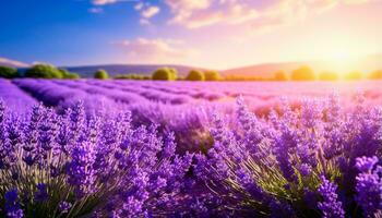 une Stupéfiant lavande champ à le coucher du soleil ai généré photo