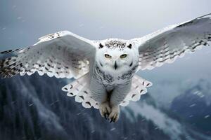 une majestueux blanc hibou planant par le ciel avec perçant Jaune yeux ai généré photo