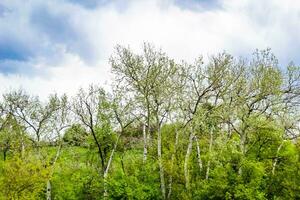 beau paysage d'horizon dans la prairie du village sur fond naturel de couleur photo