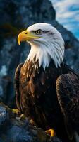 une majestueux chauve Aigle perché sur une robuste Roche ai généré photo