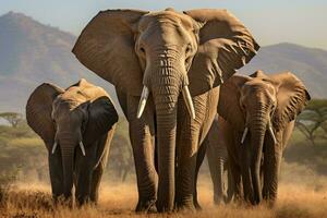 une majestueux troupeau de éléphants traversant une d'or savane paysage ai généré photo