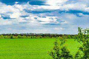 beau paysage d'horizon dans la prairie du village sur fond naturel de couleur photo