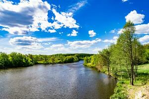 beau roseau des marais d'herbe poussant sur le réservoir du rivage dans la campagne photo