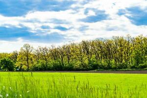 beau paysage d'horizon dans la prairie du village sur fond naturel de couleur photo