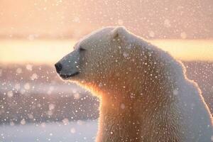 polaire ours dans sauvagerie zone contre le coucher du soleil. neural réseau ai généré photo