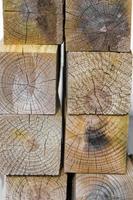 gros plan de bûches de bois coupées photo