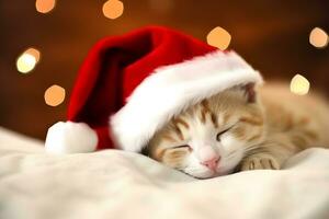 mignonne chaton dort dans une Noël chapeau. neural réseau ai généré photo