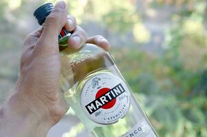 bouteille de Vermouth martini Rossi dans Masculin main sur une vert des arbres Contexte photo