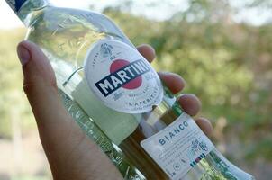 bouteille de Vermouth martini Rossi dans Masculin main sur une vert des arbres Contexte photo