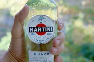 bouteille de Vermouth martini Rossi dans Masculin main sur une vert des arbres Contexte photo