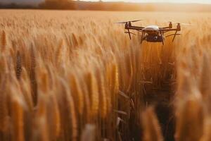 drone en volant plus de le champ. intelligent agriculture contrôlée. neural réseau ai généré photo