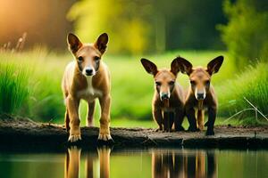 Trois chiens permanent sur une Journal par une rivière. généré par ai photo