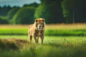 une Lion en marchant par une champ. généré par ai photo